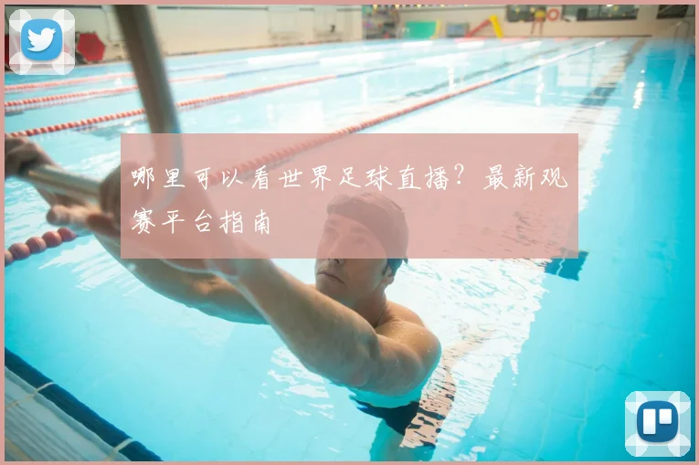 哪里可以看世界足球直播？最新观赛平台指南