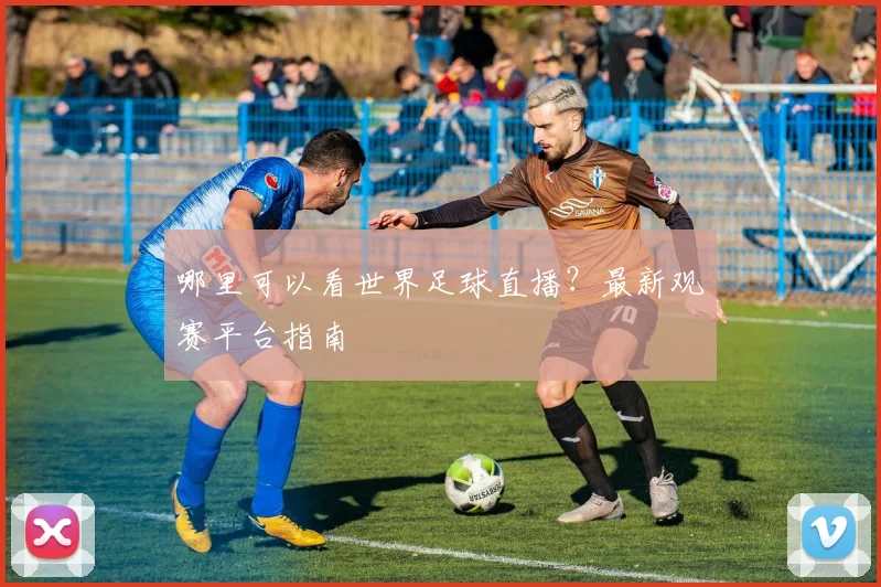 哪里可以看世界足球直播？最新观赛平台指南