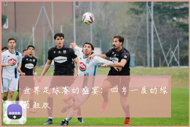 世界足球赛的盛宴：四年一度的绿茵狂欢